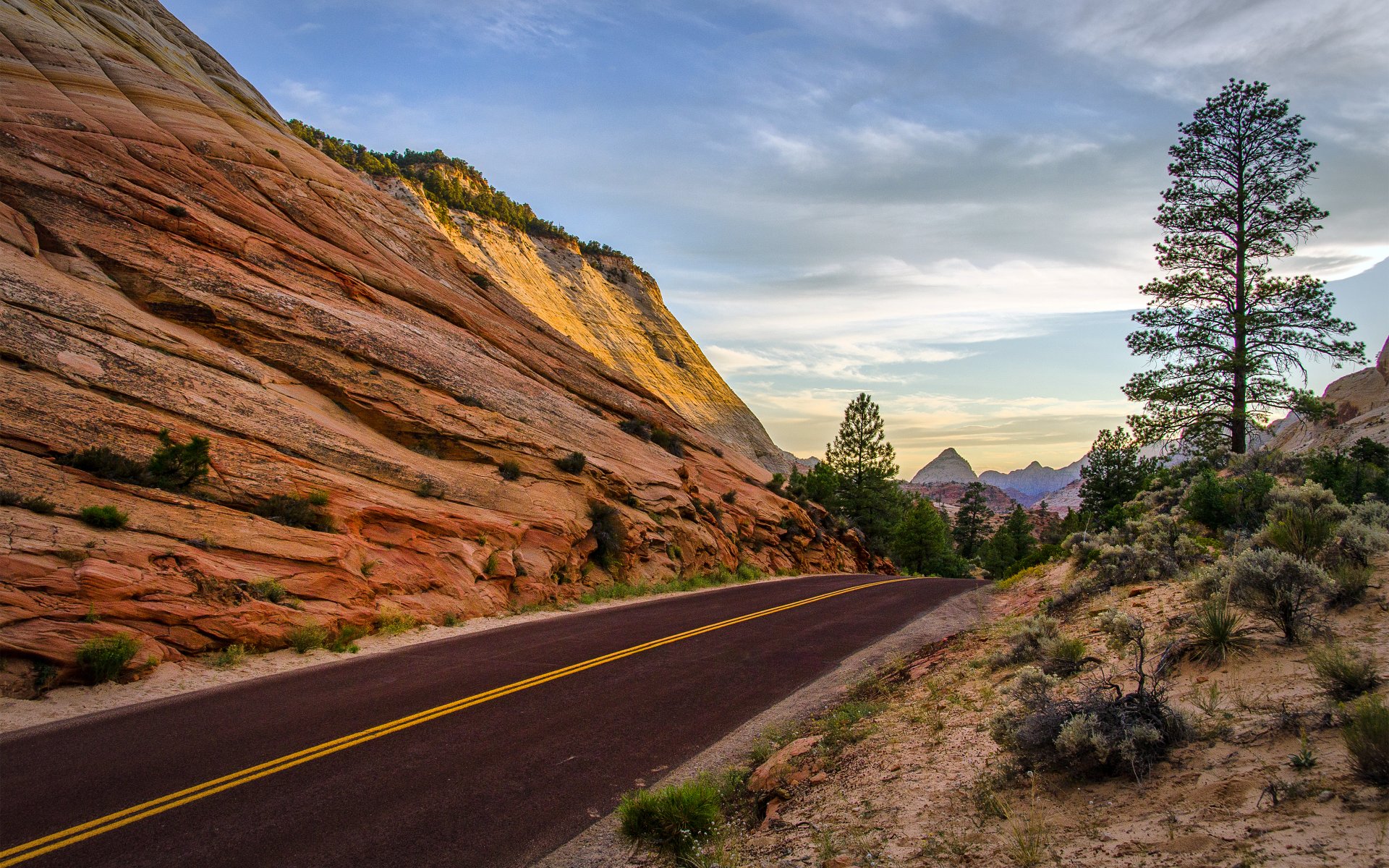 leaving zion national park utah. summer rock road tree mountain