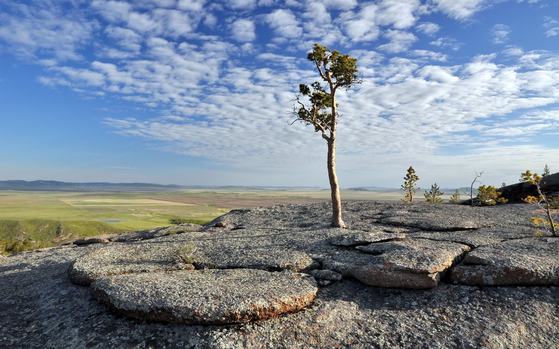 berge baum landschaft