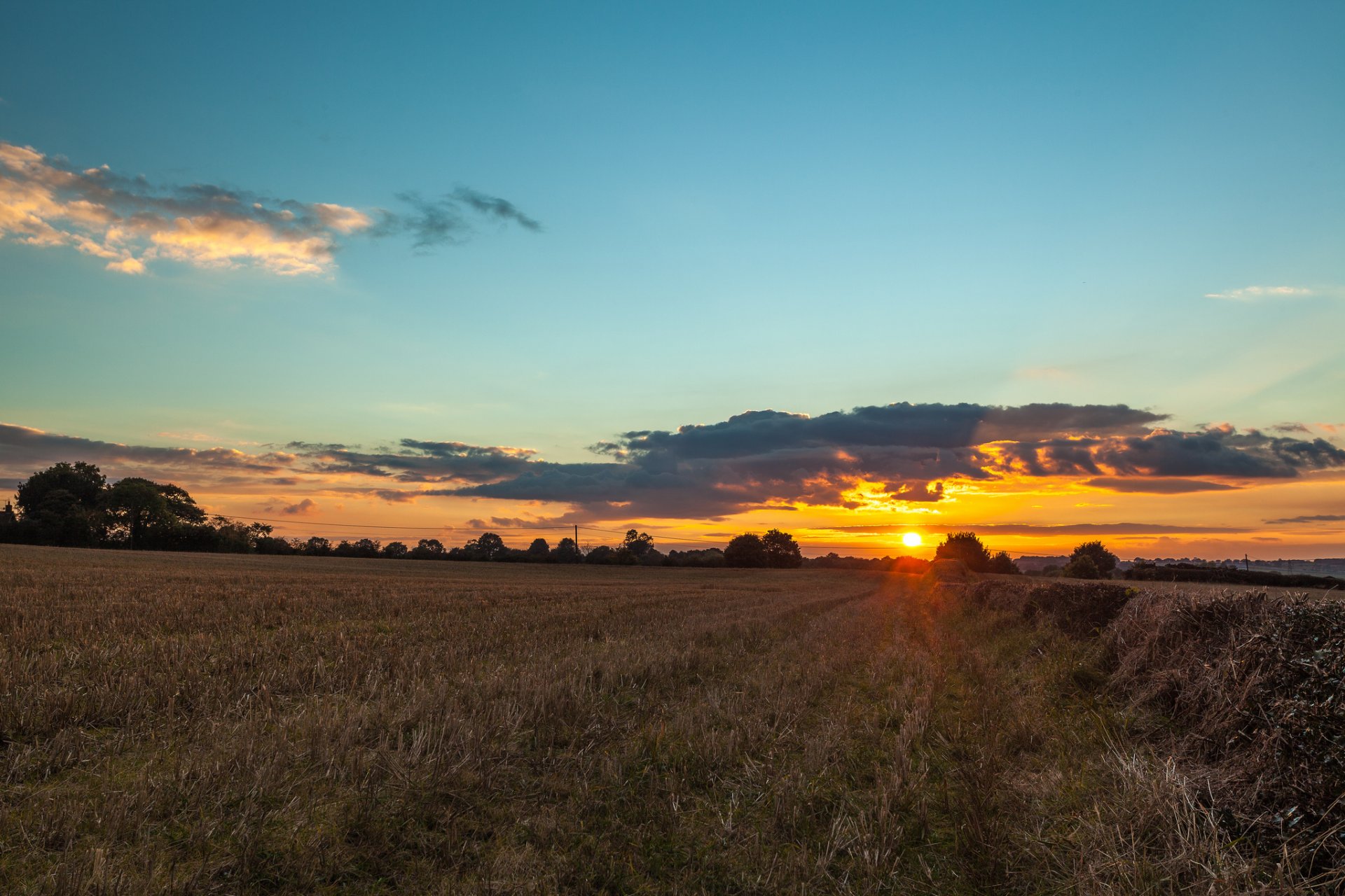 the field trees . sun sunset