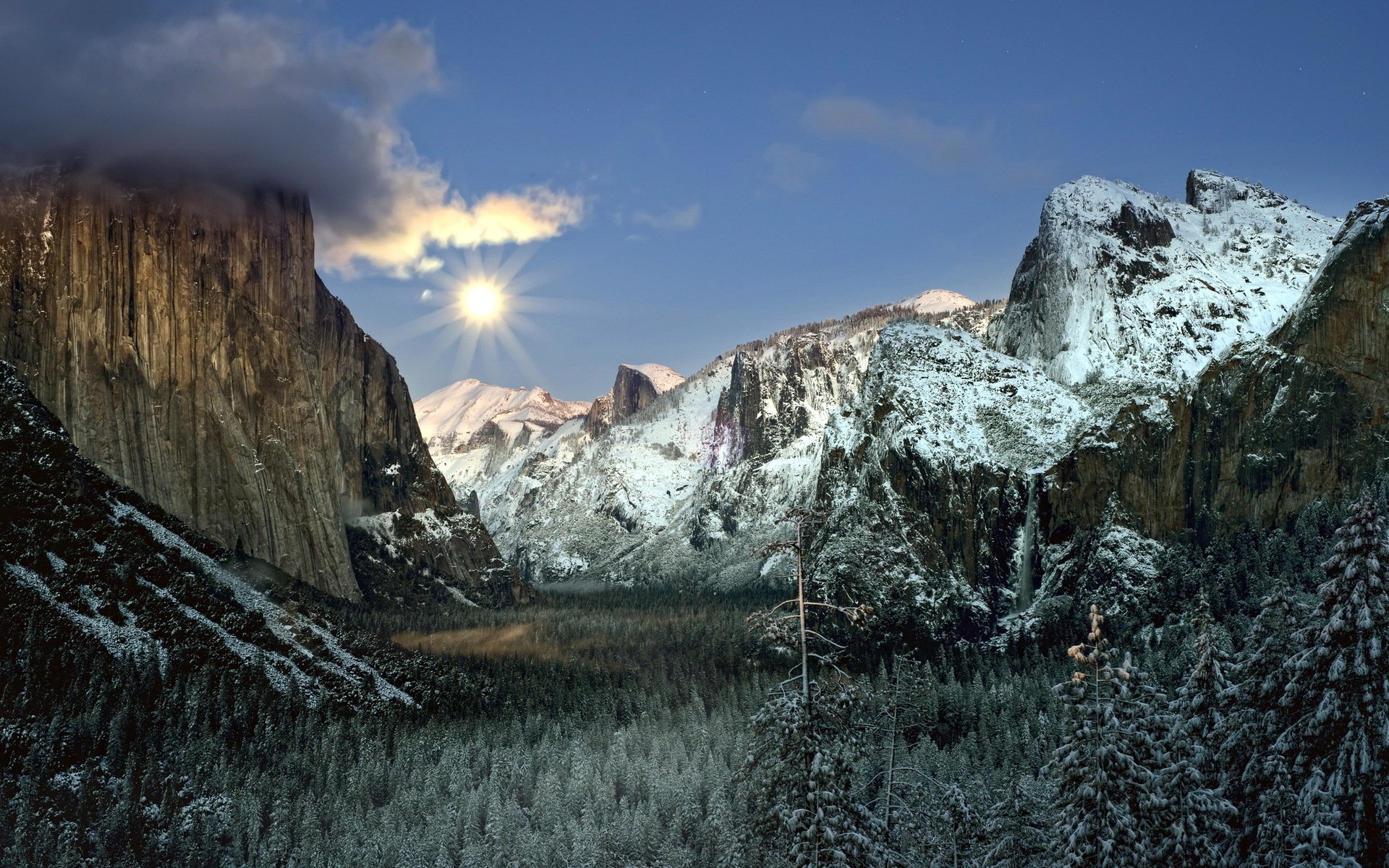 montagnes forêt paysage