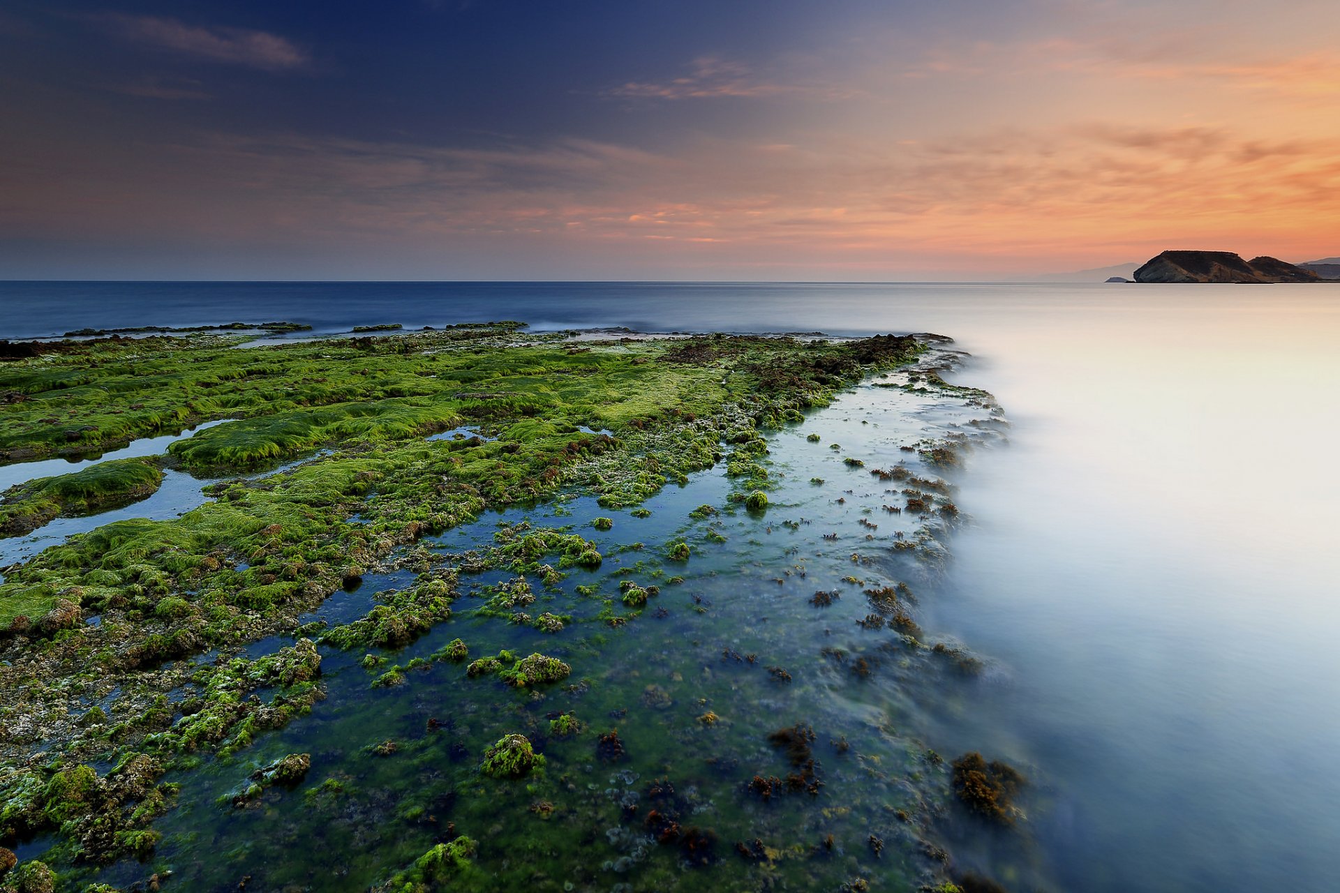 mer plage algues aube