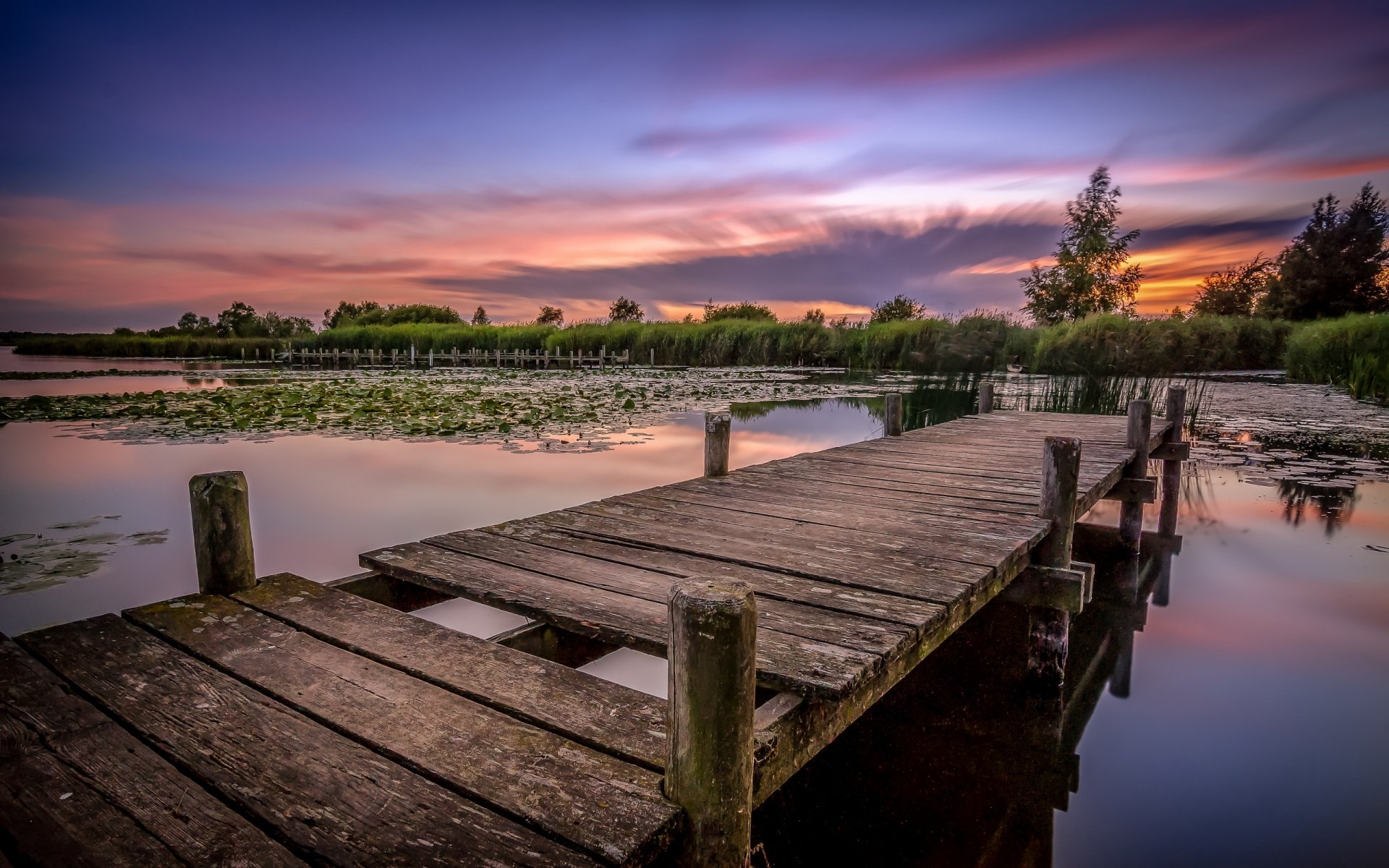 forest lake pond bridge morning