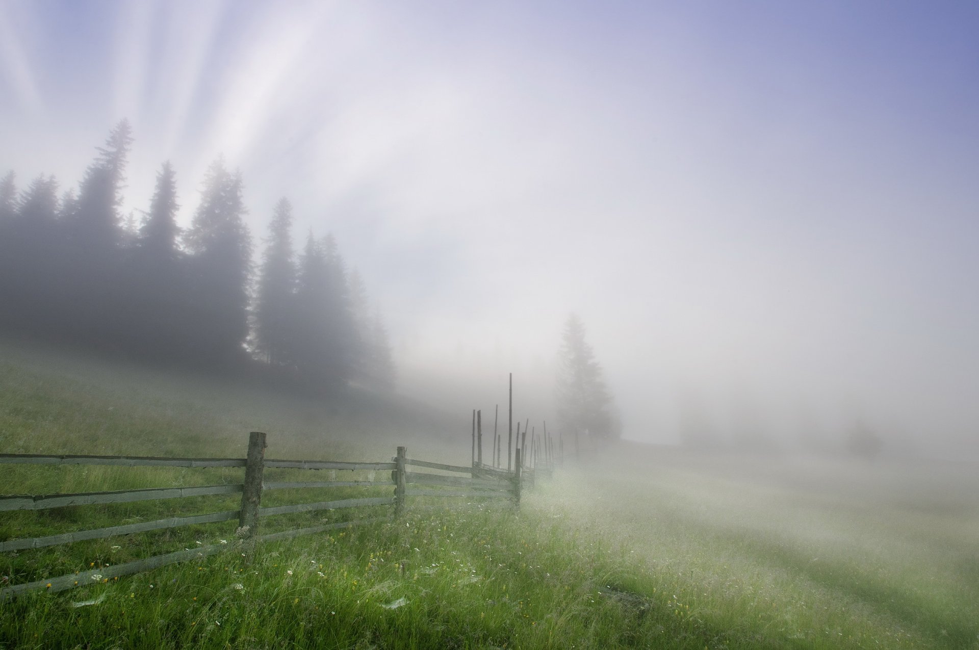 fog fence landscape