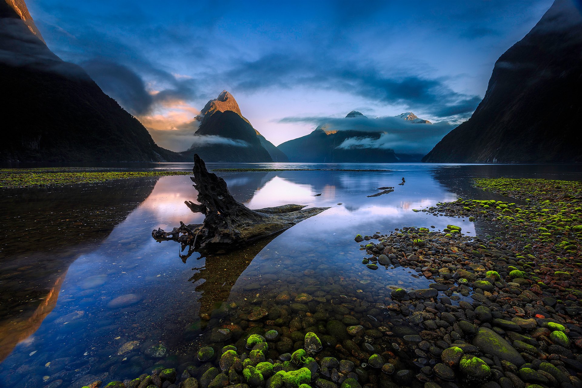 neuseeland südinsel fjordland nationalpark milford sound fjord piopyotahi