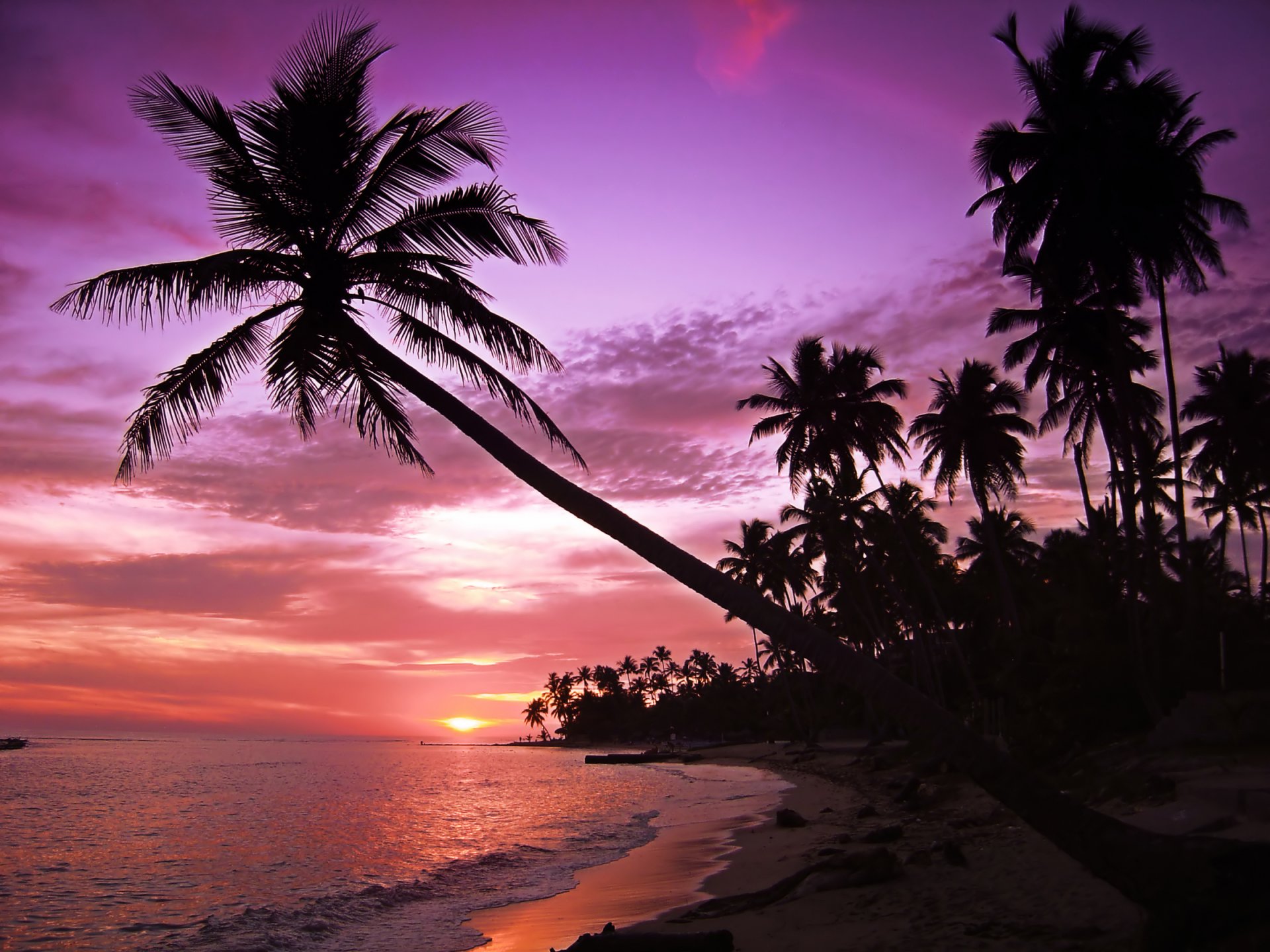 paisaje isla playa palmeras siluetas mar olas puesta de sol cielo