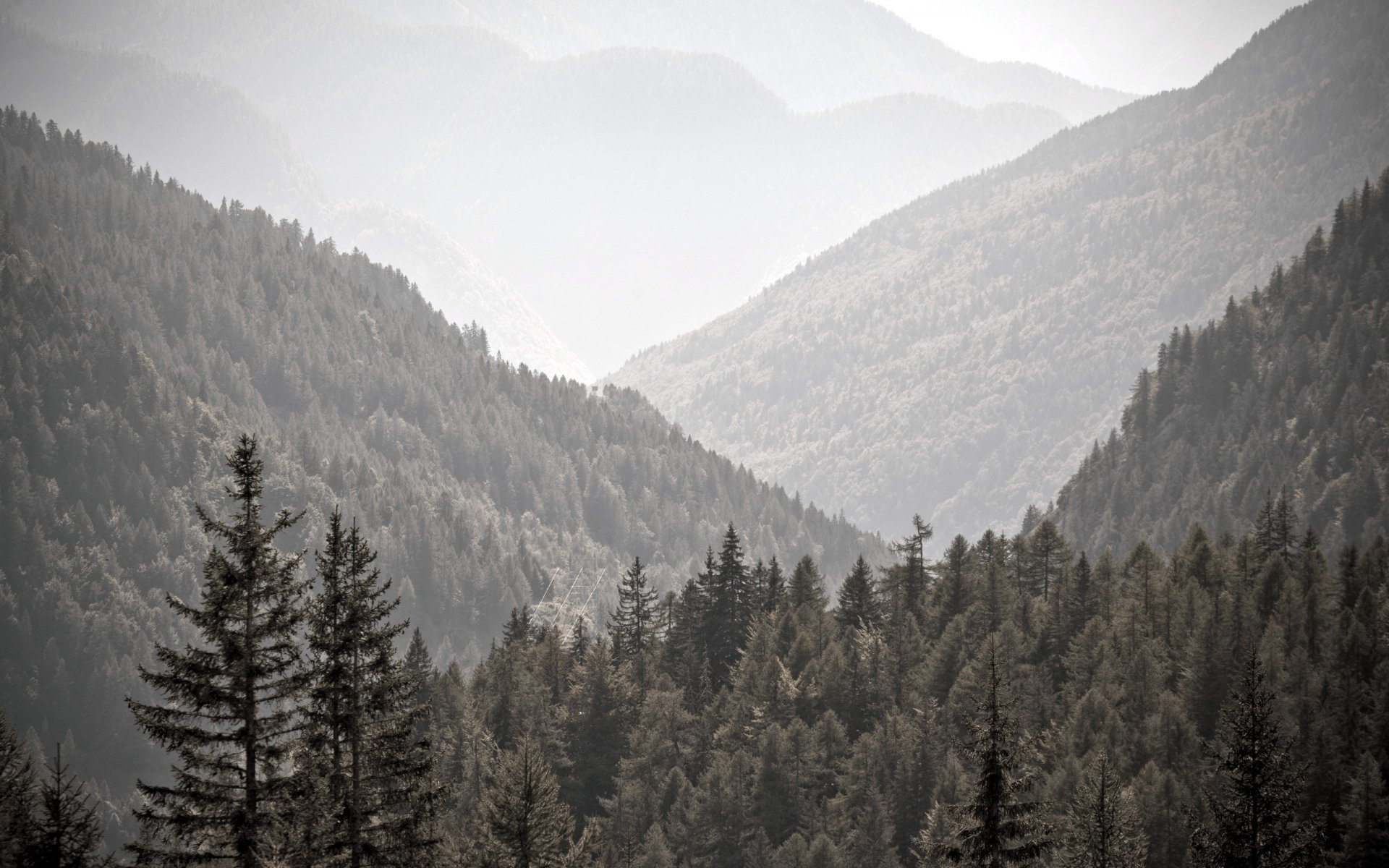 montagnes arbres paysage