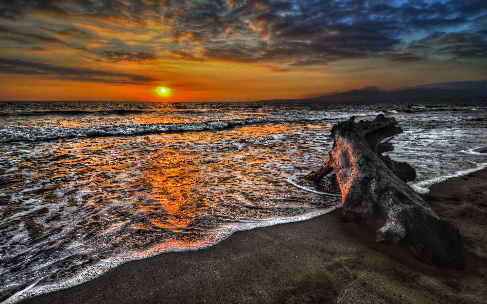 alba tramonto sole natura mare onde albero foto