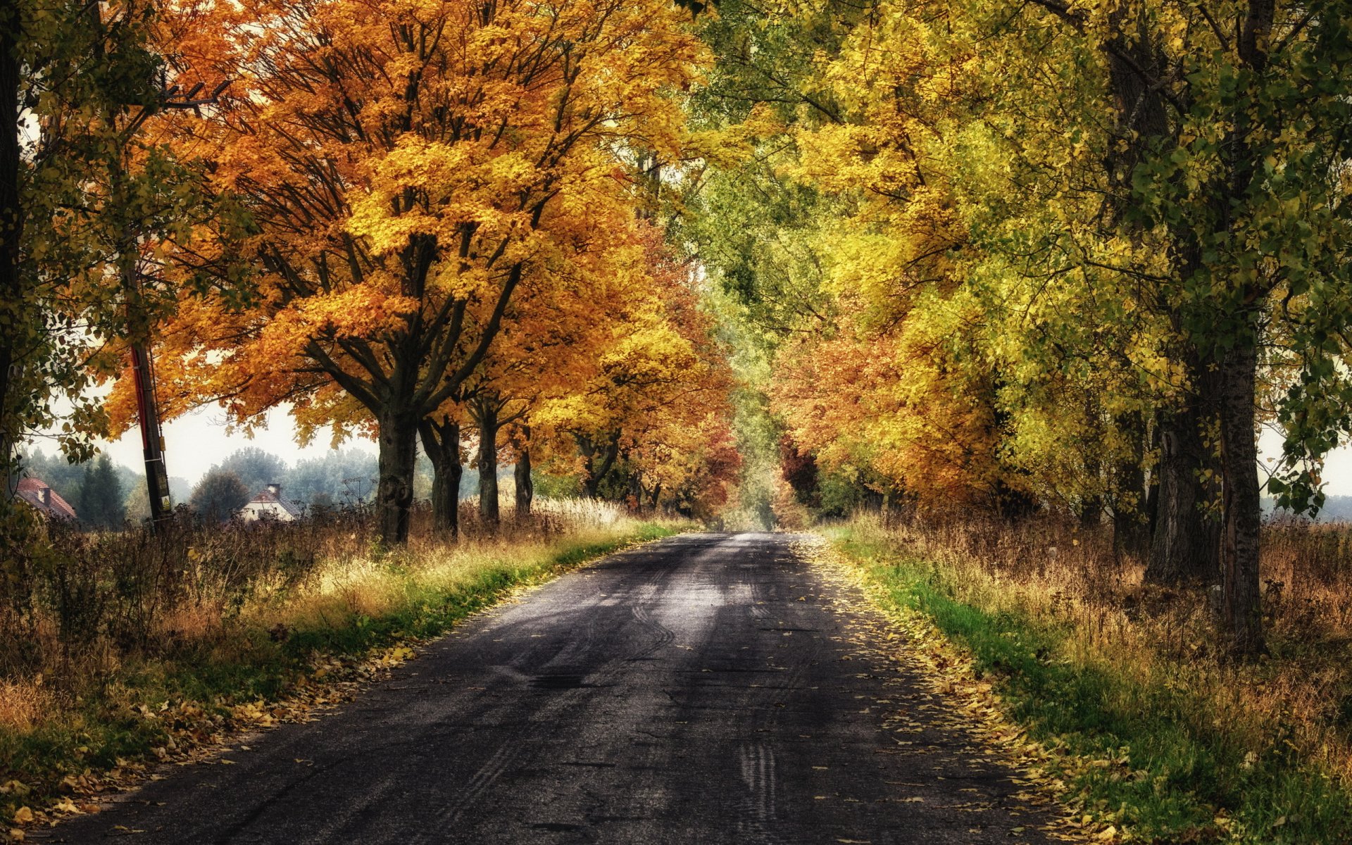 strada autunno paesaggio