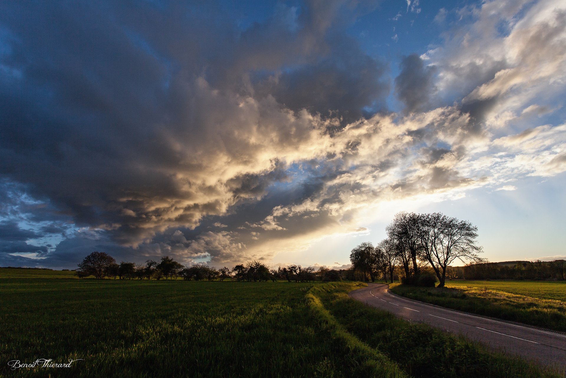 the field tree road clouds night sunset