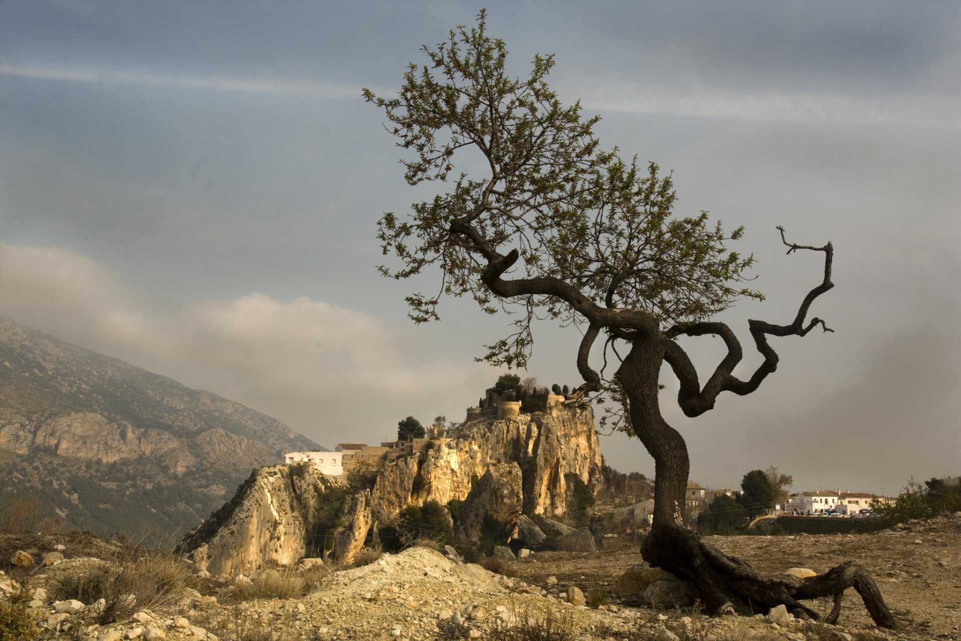 espagne valence montagnes bois forme