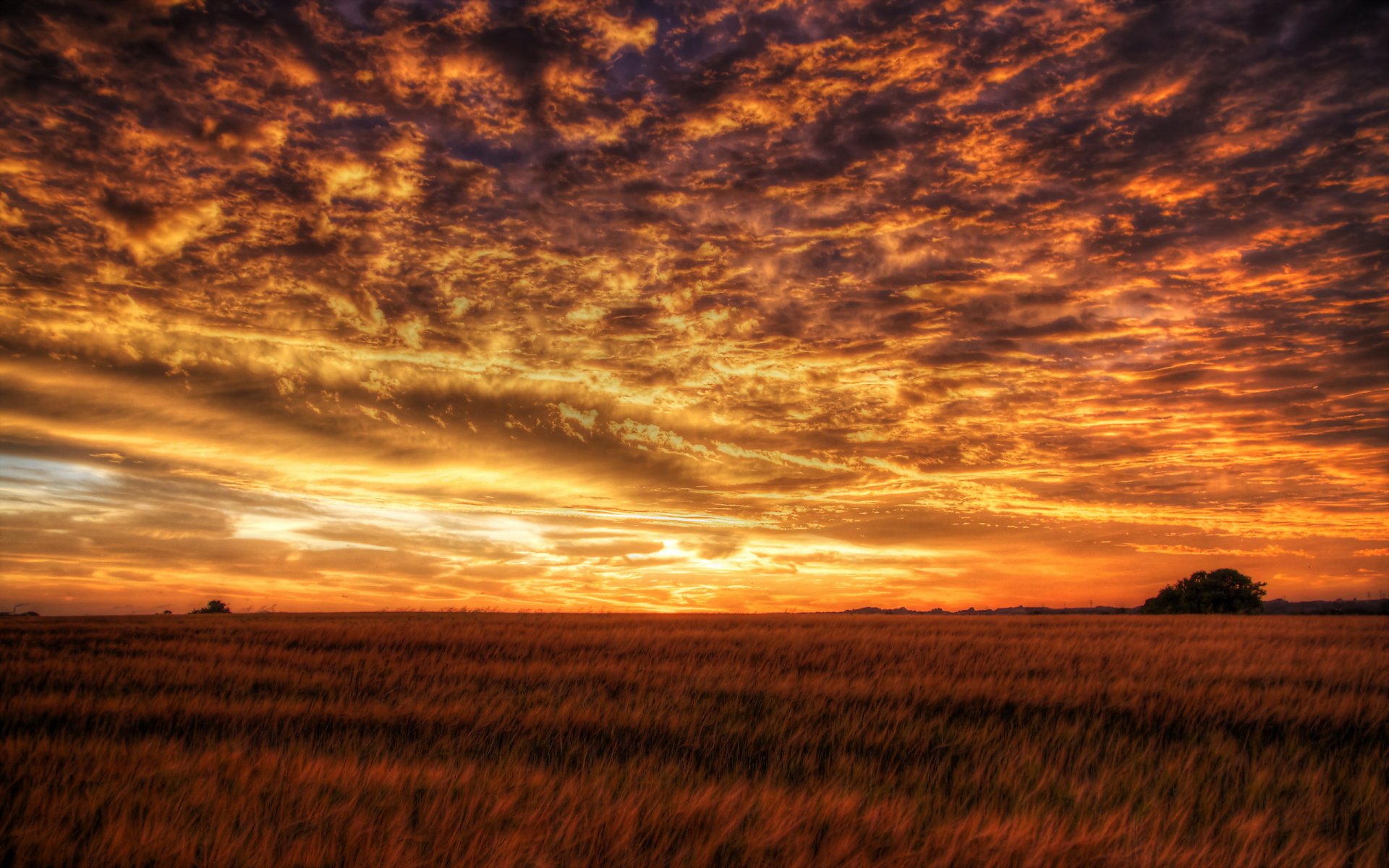 campo cielo puesta de sol paisaje