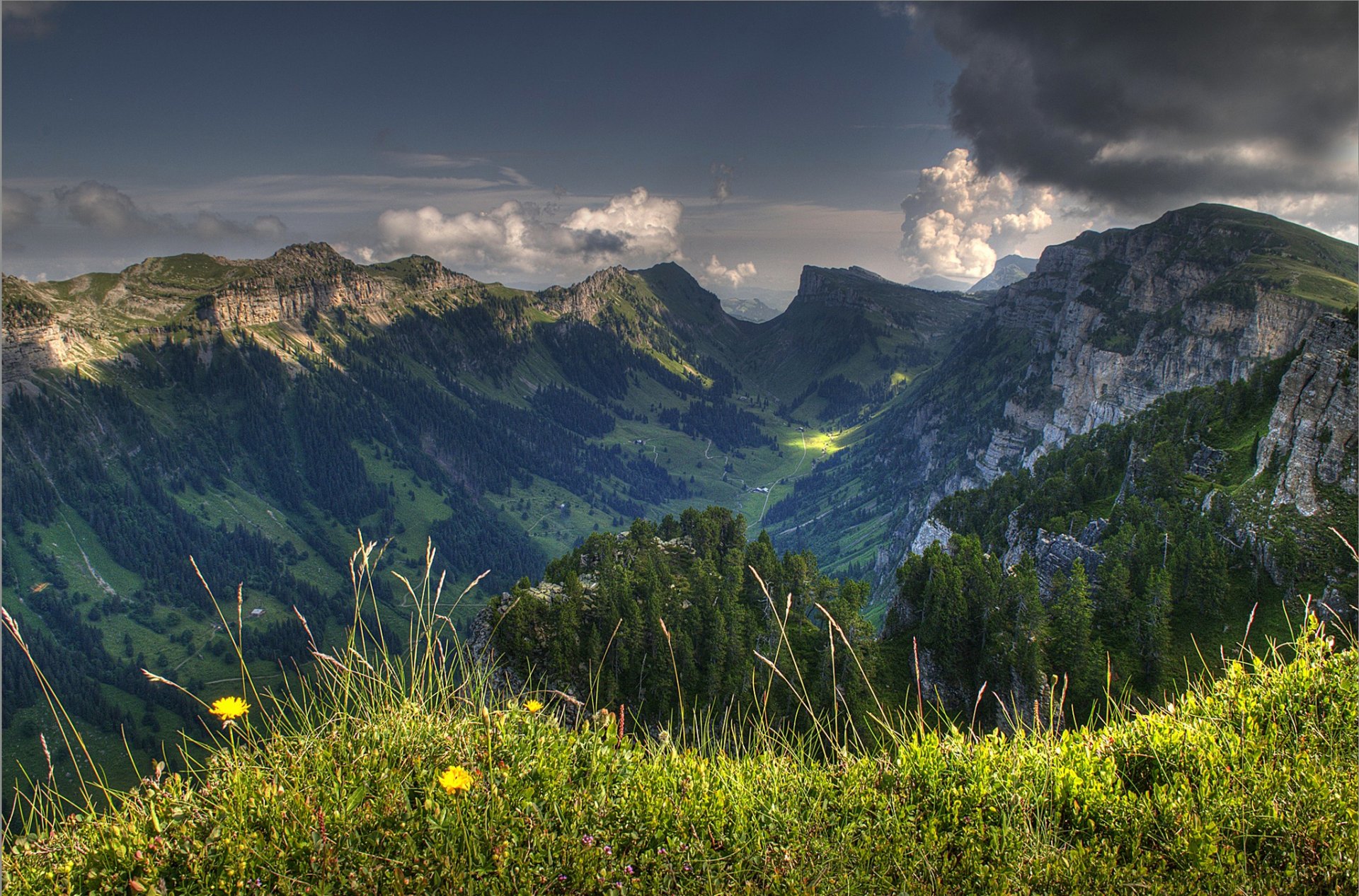 schweiz himmel wolken wolken berge tal gras blumen bäume natur