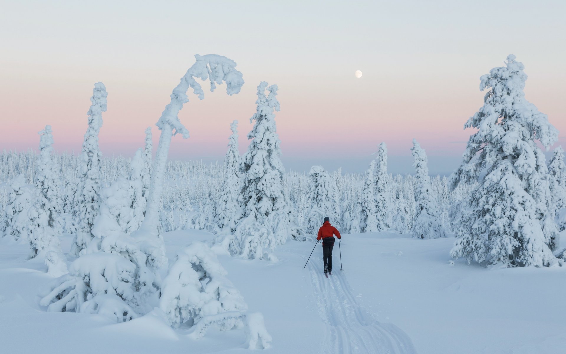 winter wonderland narty śnieg zachód słońca finlandia