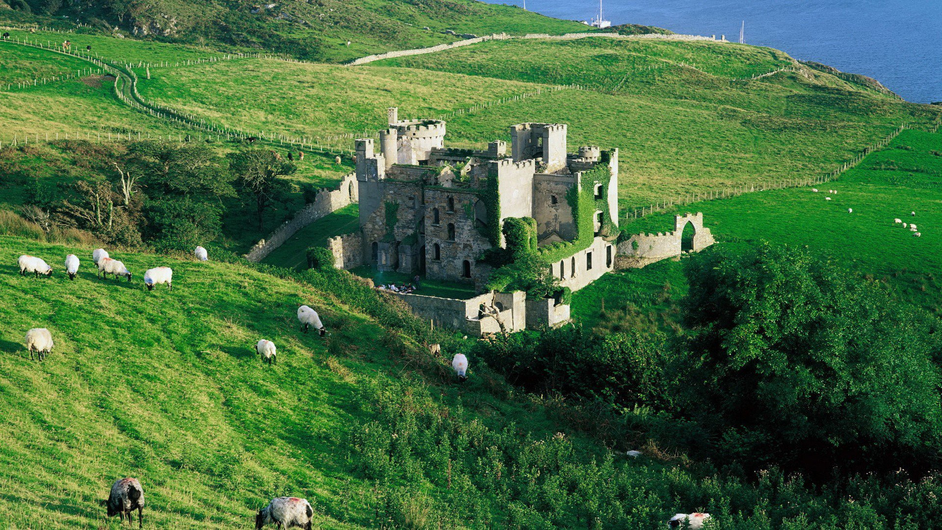 meer hang gras schafe schloss ruinen bäume