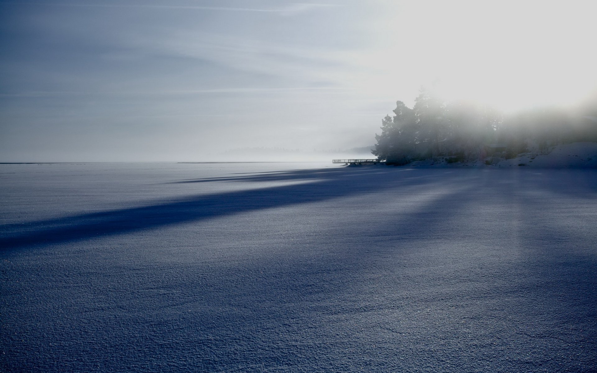 campo niebla invierno