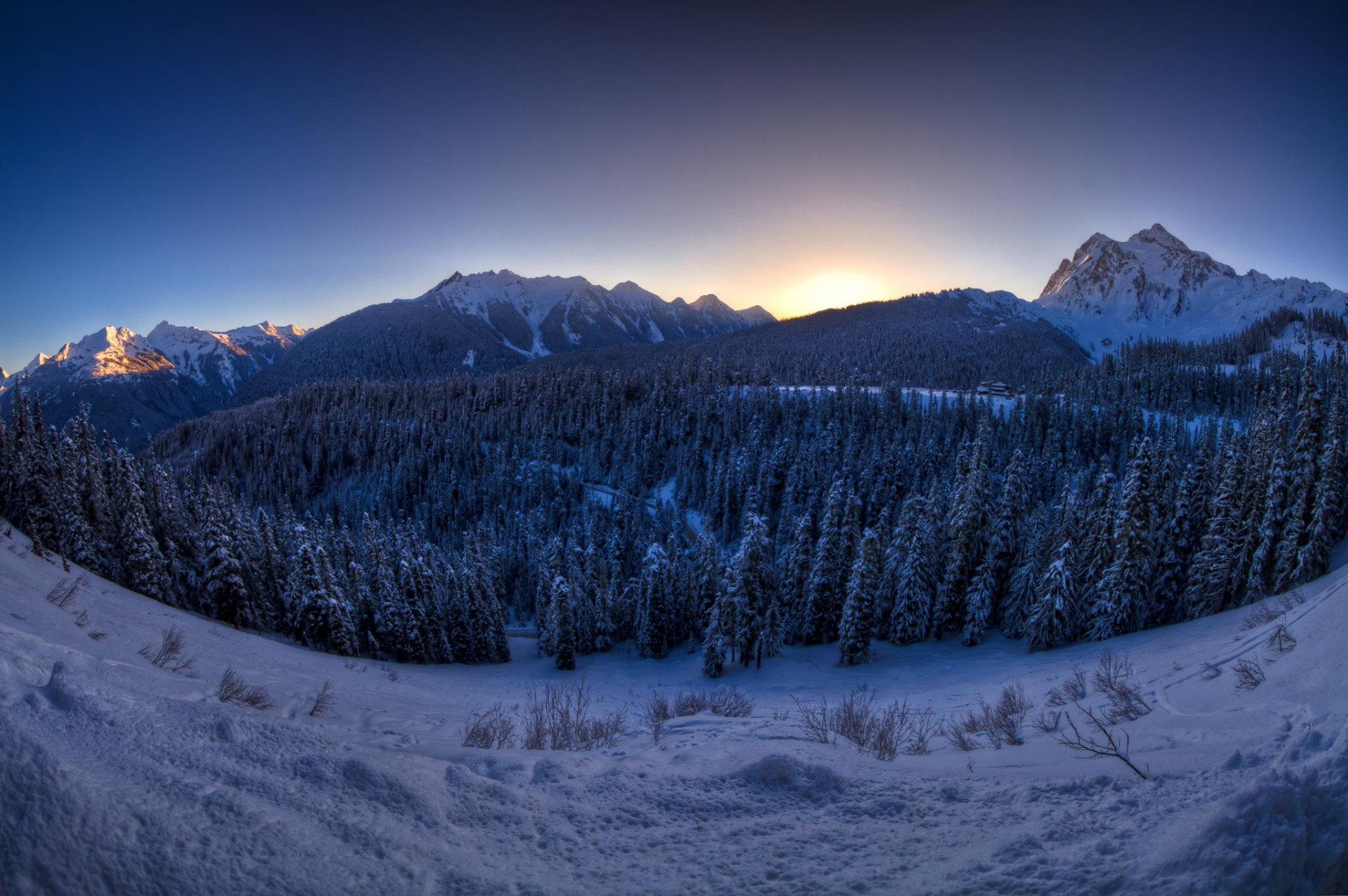 montañas garganta bosque árboles de navidad invierno nieve