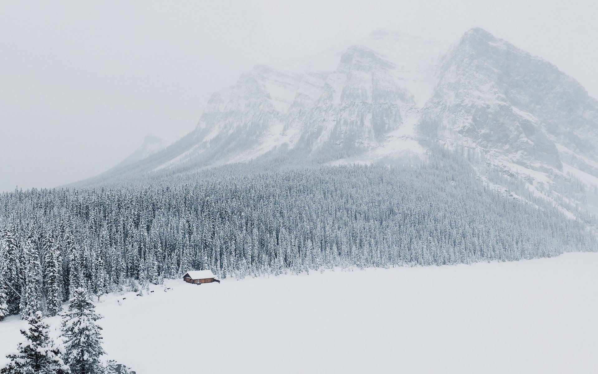 mountain snow winter forest lake louise alberta canada