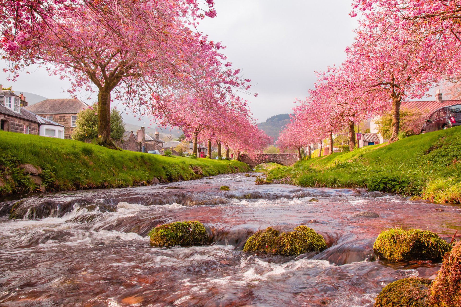 himmel fluss brücke bäume blumen frühling häuser