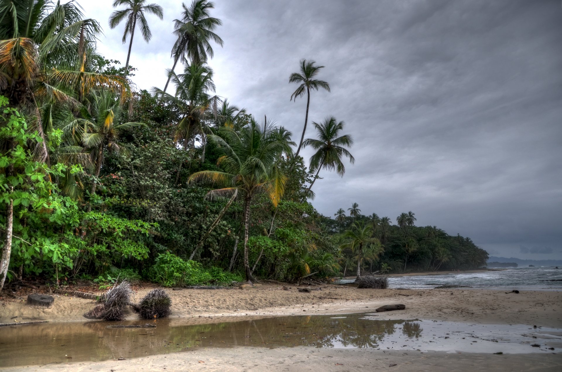 spiaggia alberi palme nuvole