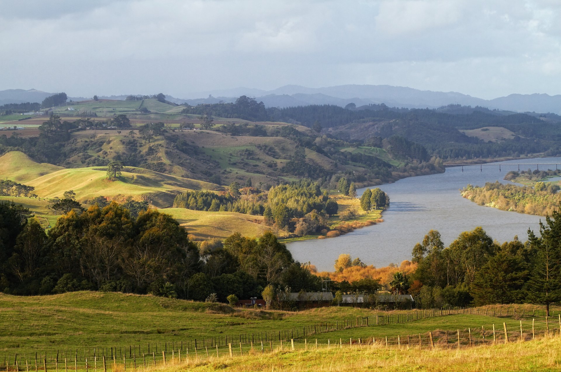 rzeka las nowa zelandia krajobraz waikato natura zdjęcia