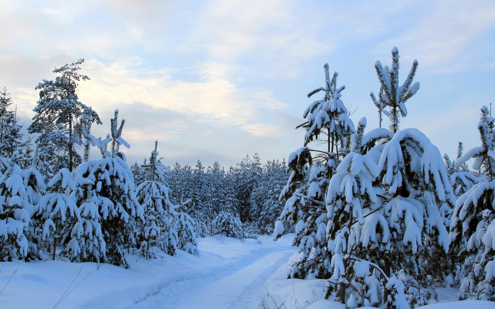 invierno naturaleza