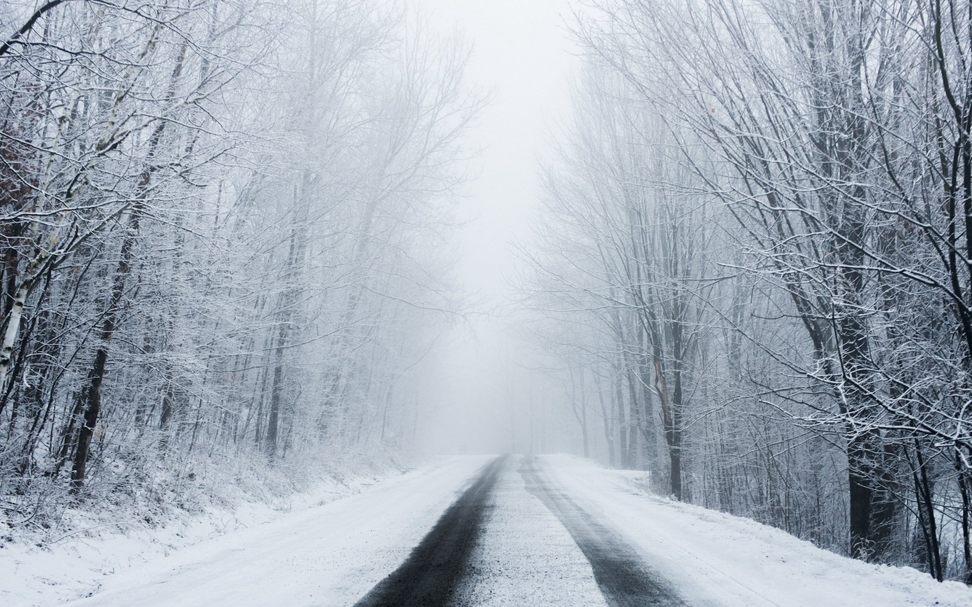 road winter snow landscape