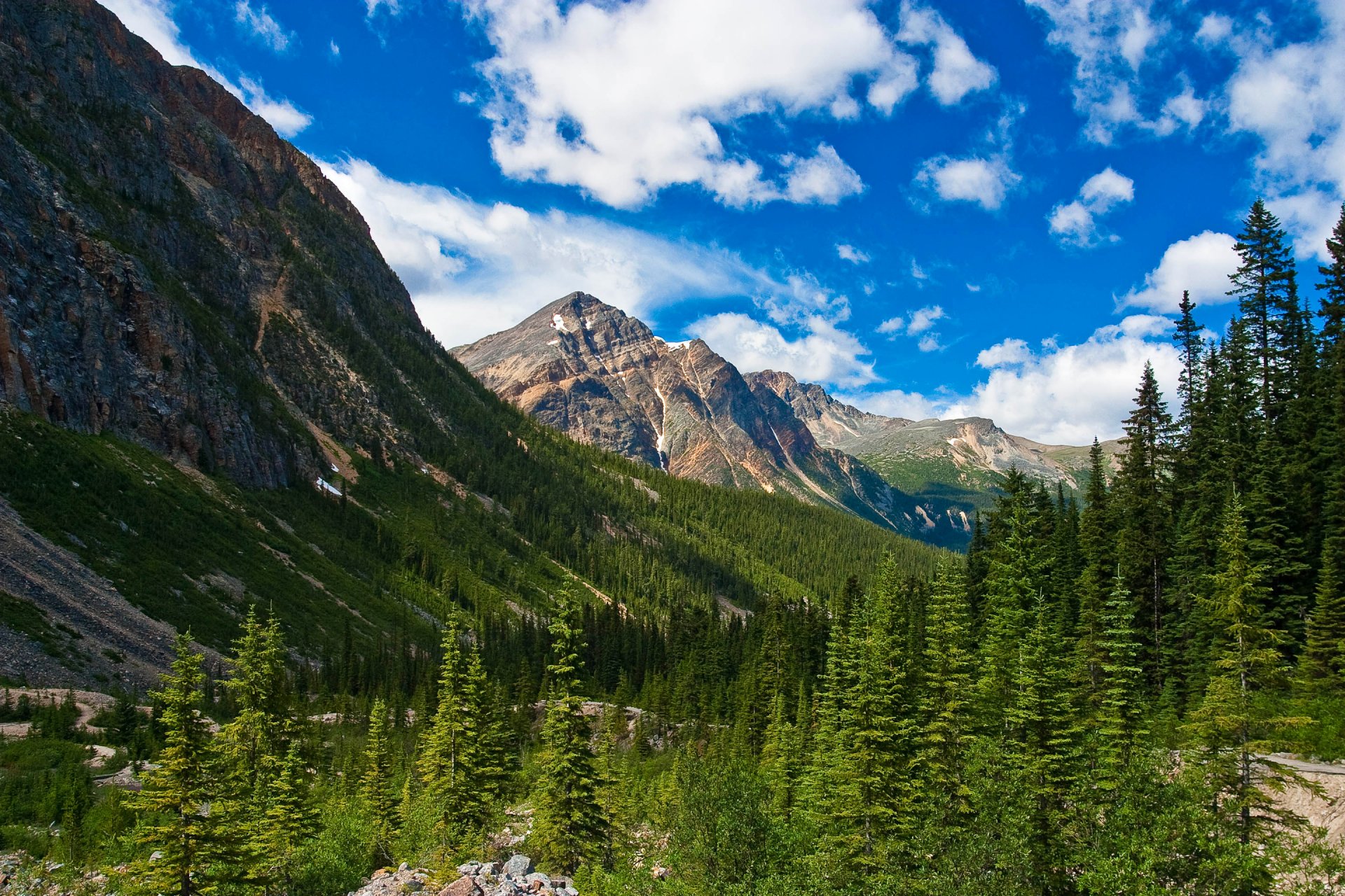 jasper national park alberta canada mountain snow forest tree sky cloud