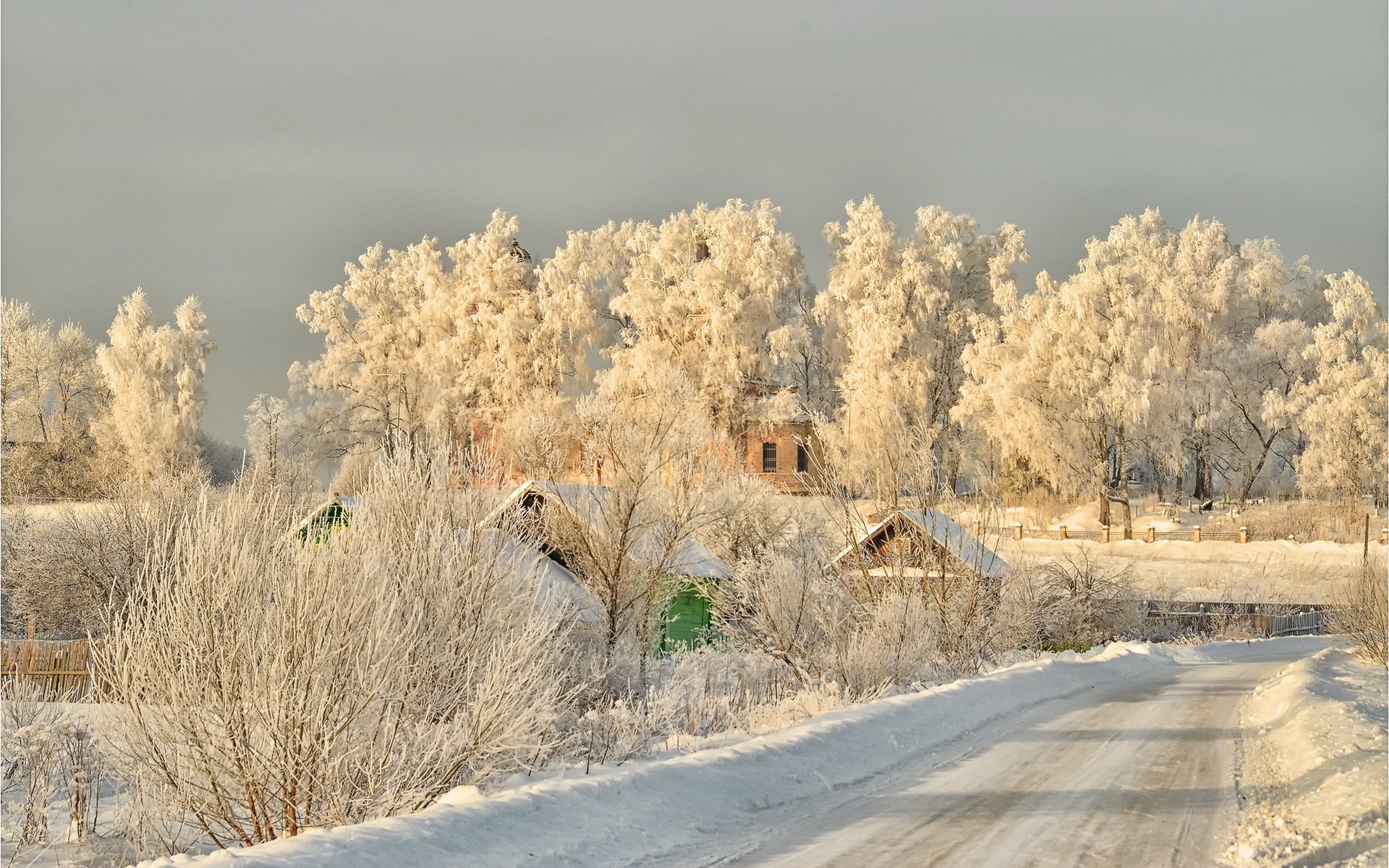 inverno gelo bellezza gelo regione di tver