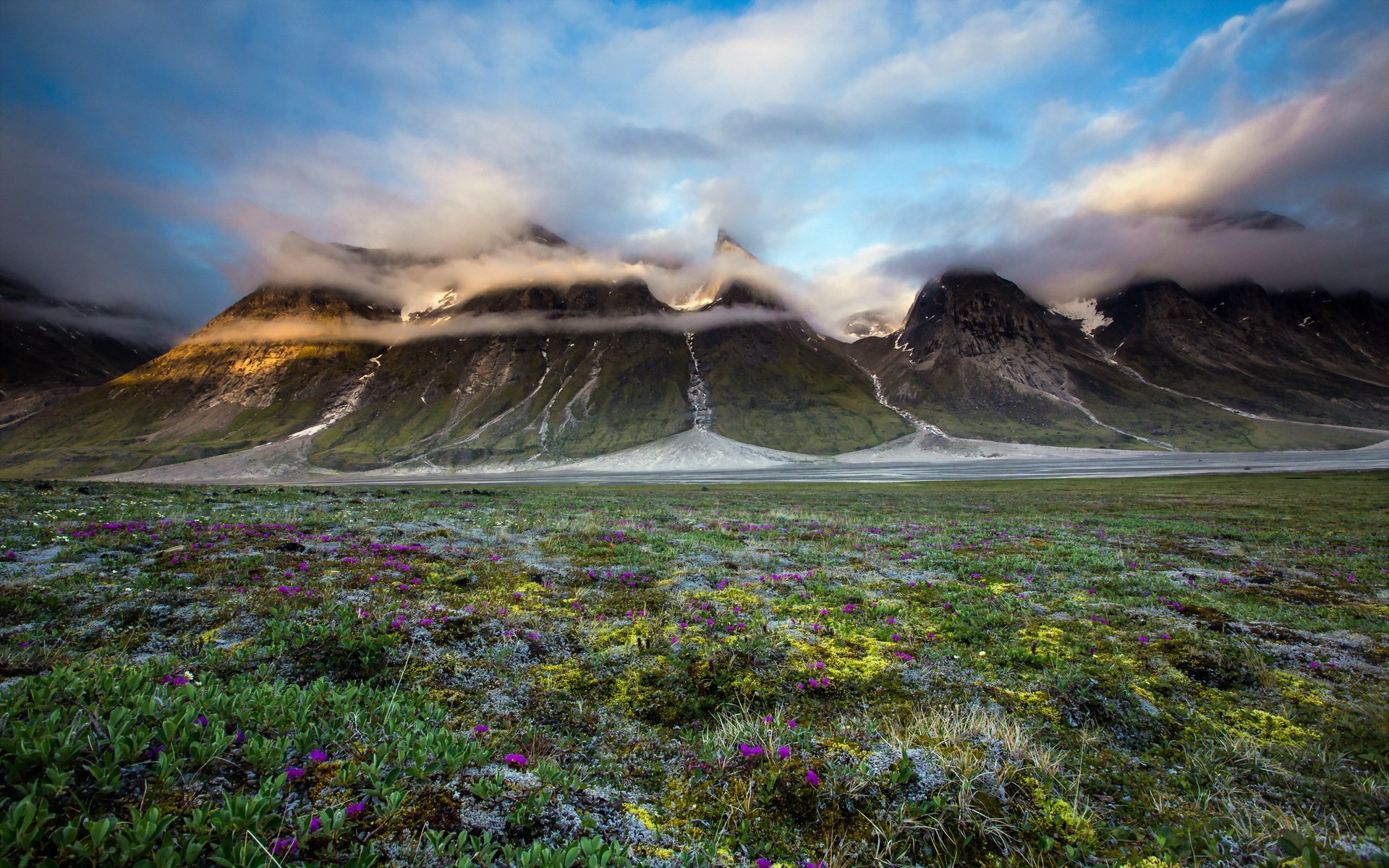 the field mountain landscape