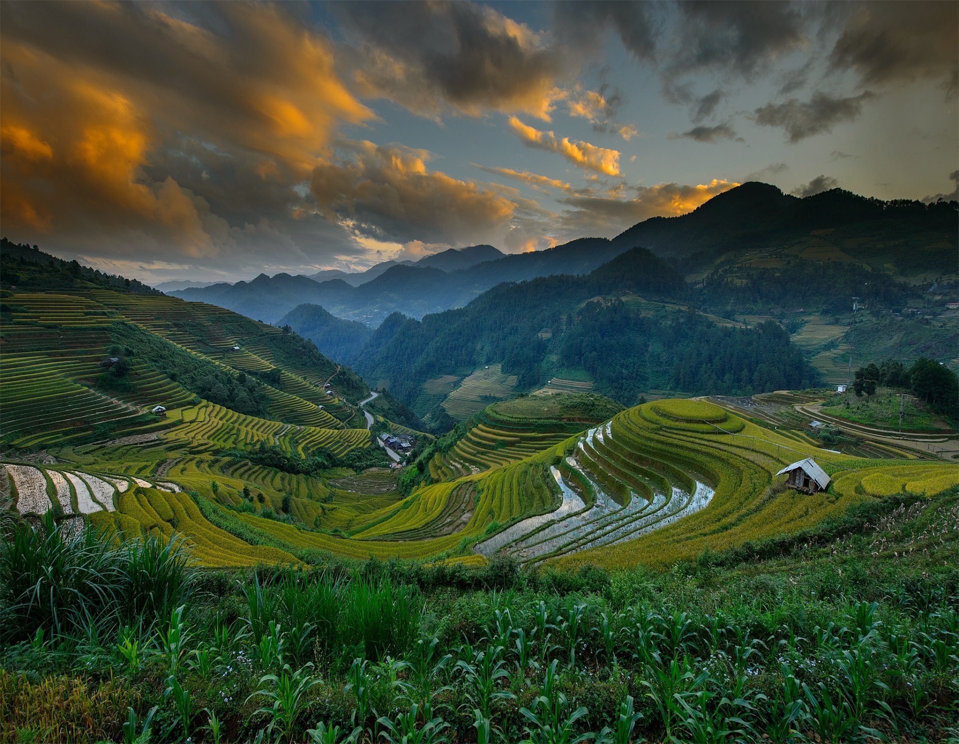 vietnam mù cang chải district montañas colinas campos cielo nubes