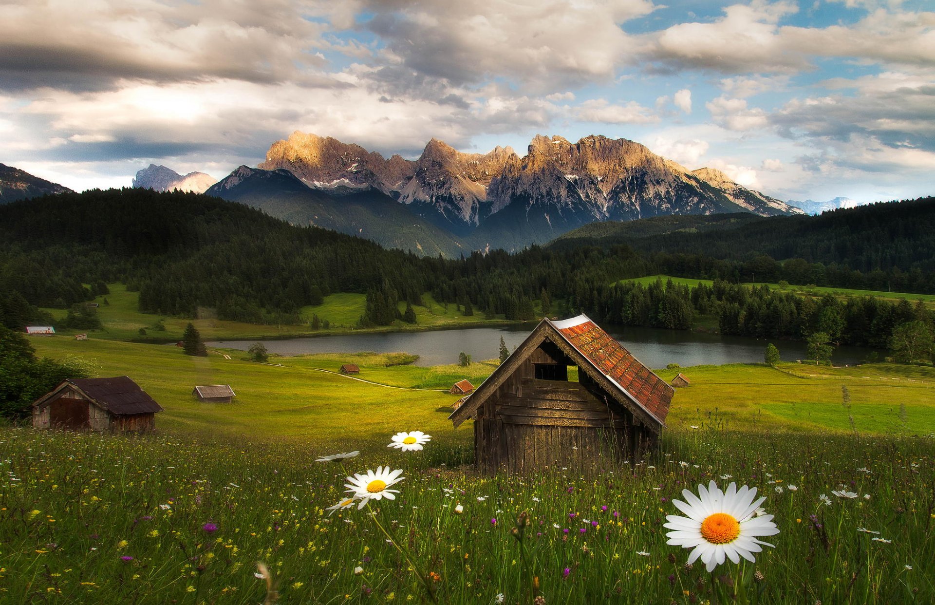 montagne foresta natura capanna fiori fabian vogl