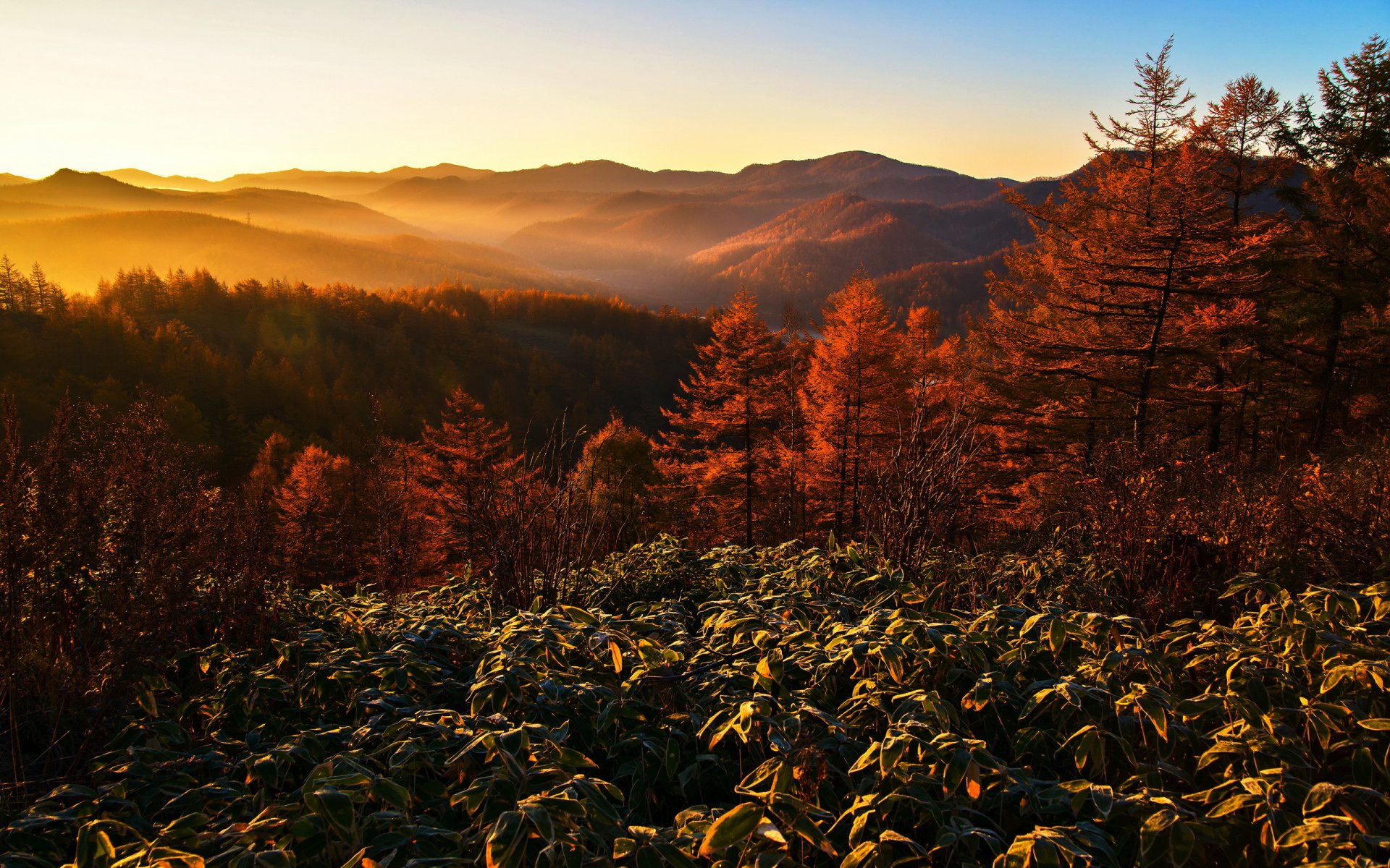 matin montagnes brouillard paysage