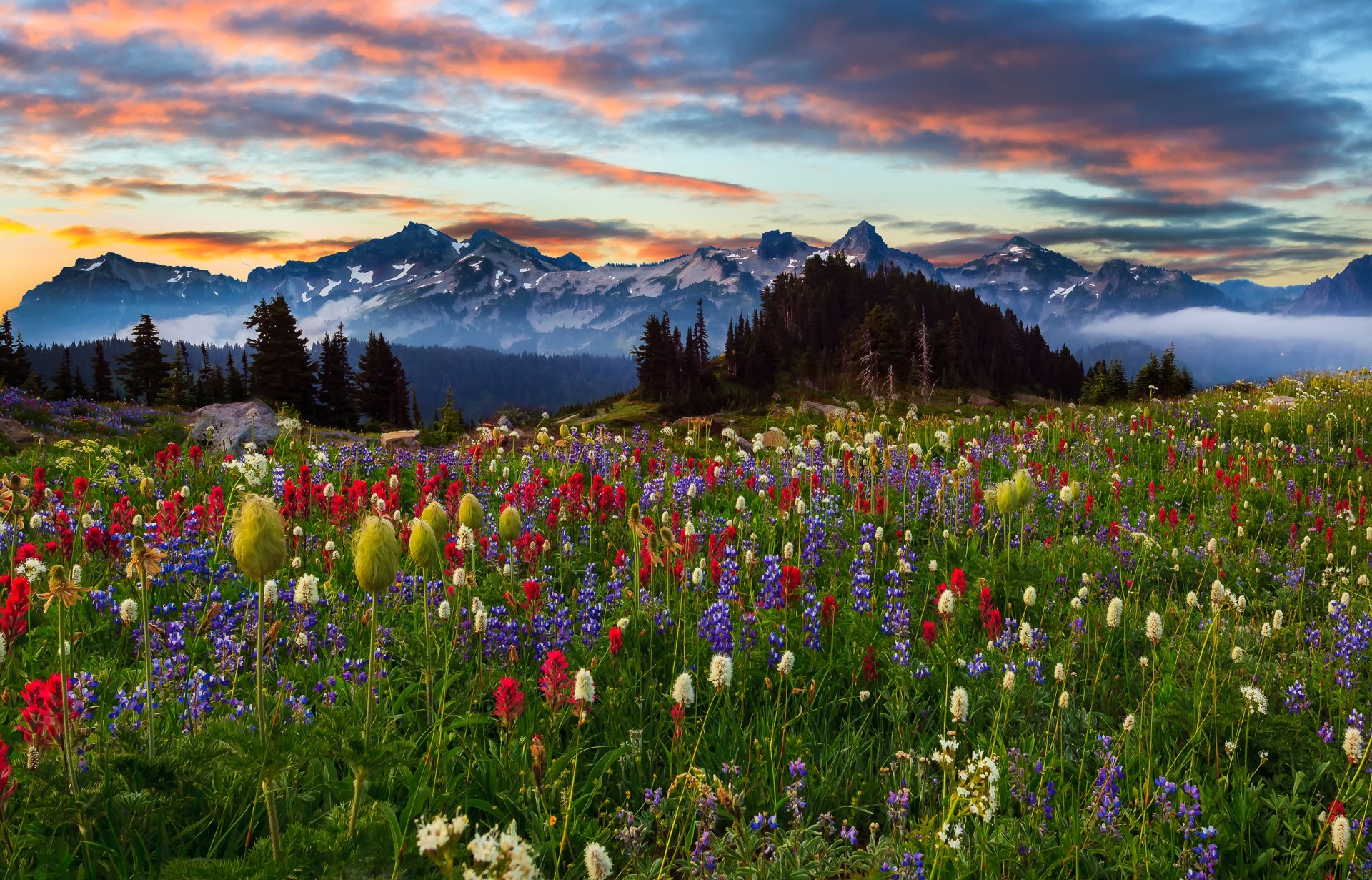 nature ciel nuages montagnes fleurs paysage coucher de soleil arbres