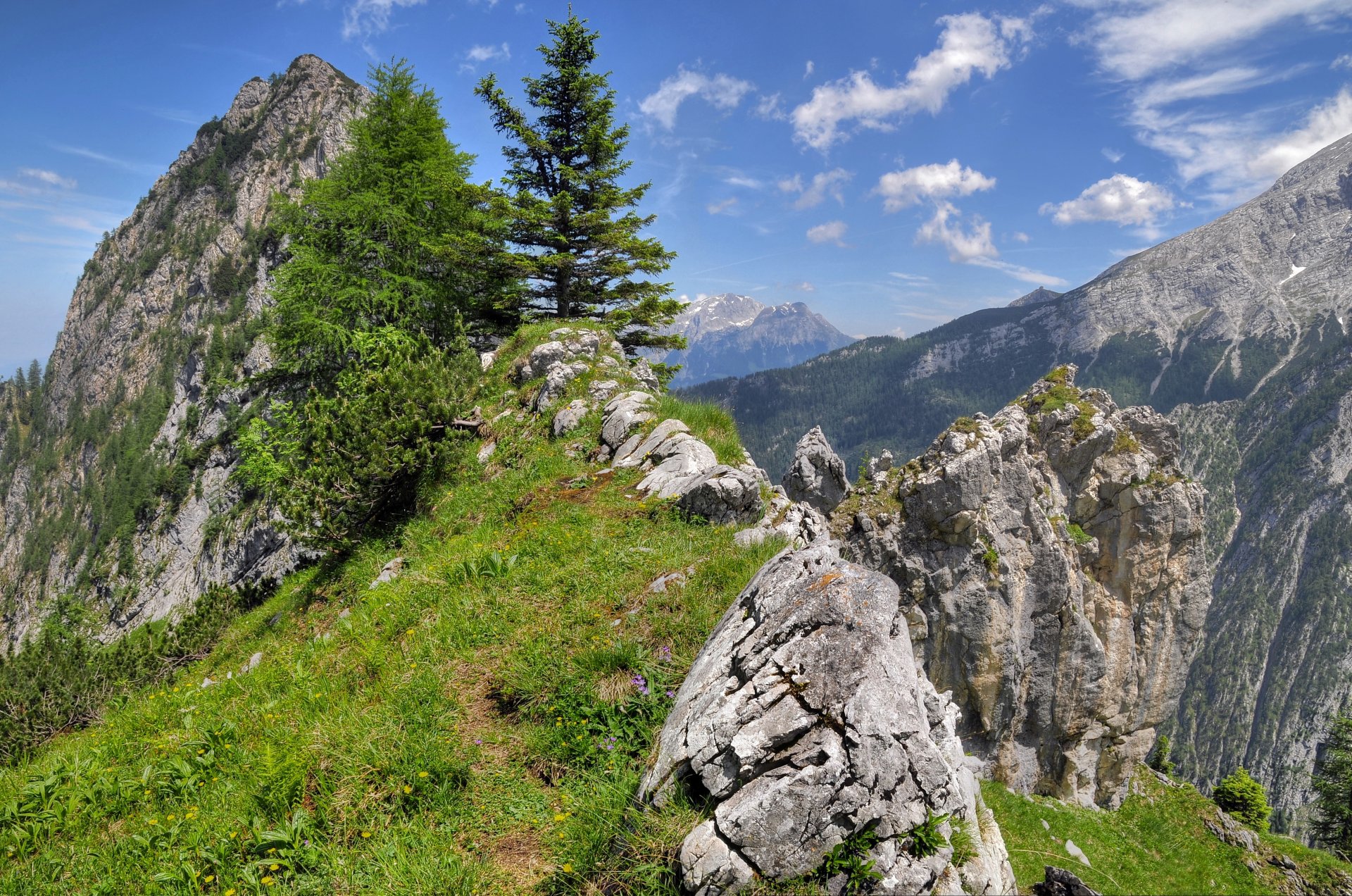 montagne alberi erba rocce cielo nuvole