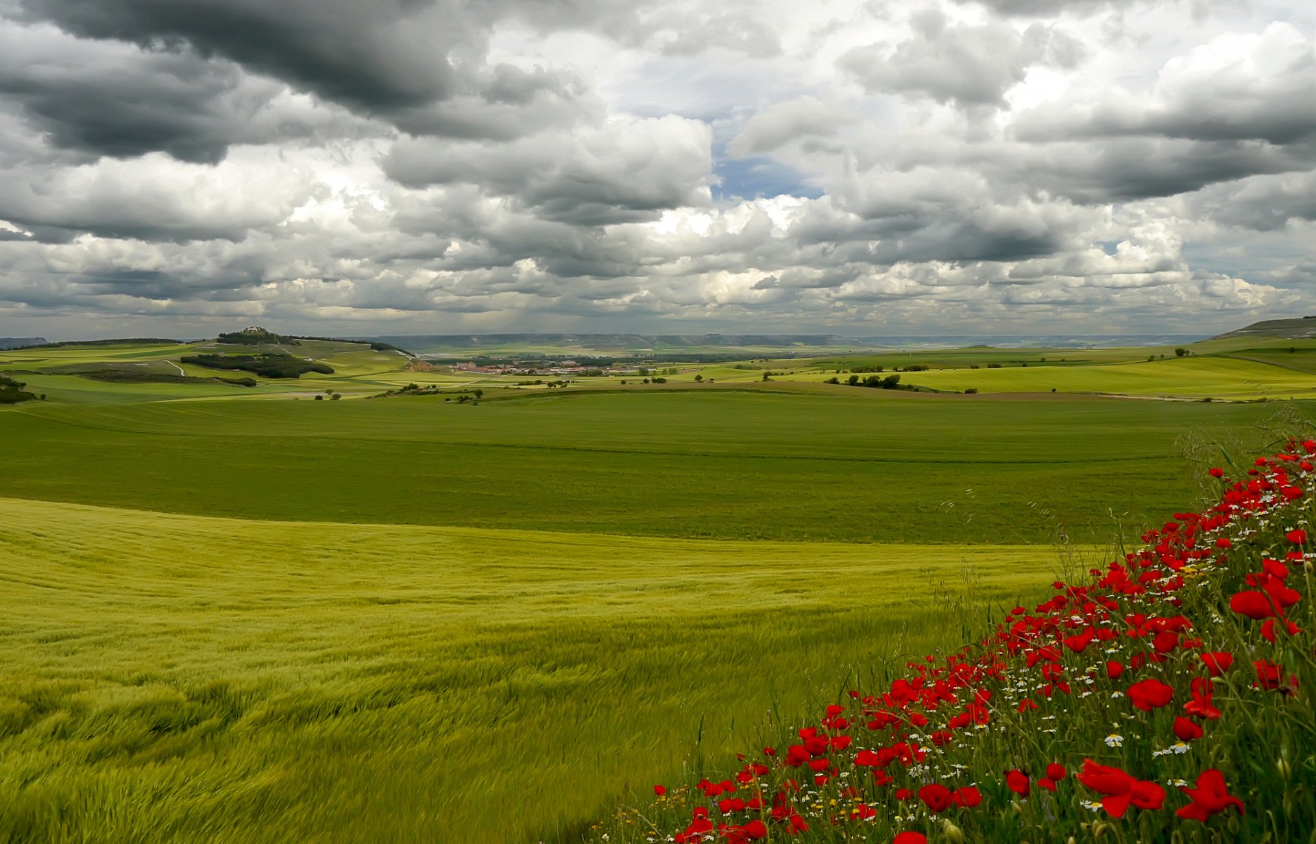 italy tuscany sky clouds hills grass flower tree house