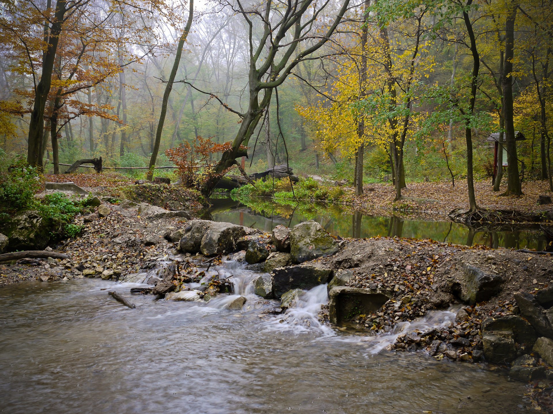 forest river feed stones fog autumn