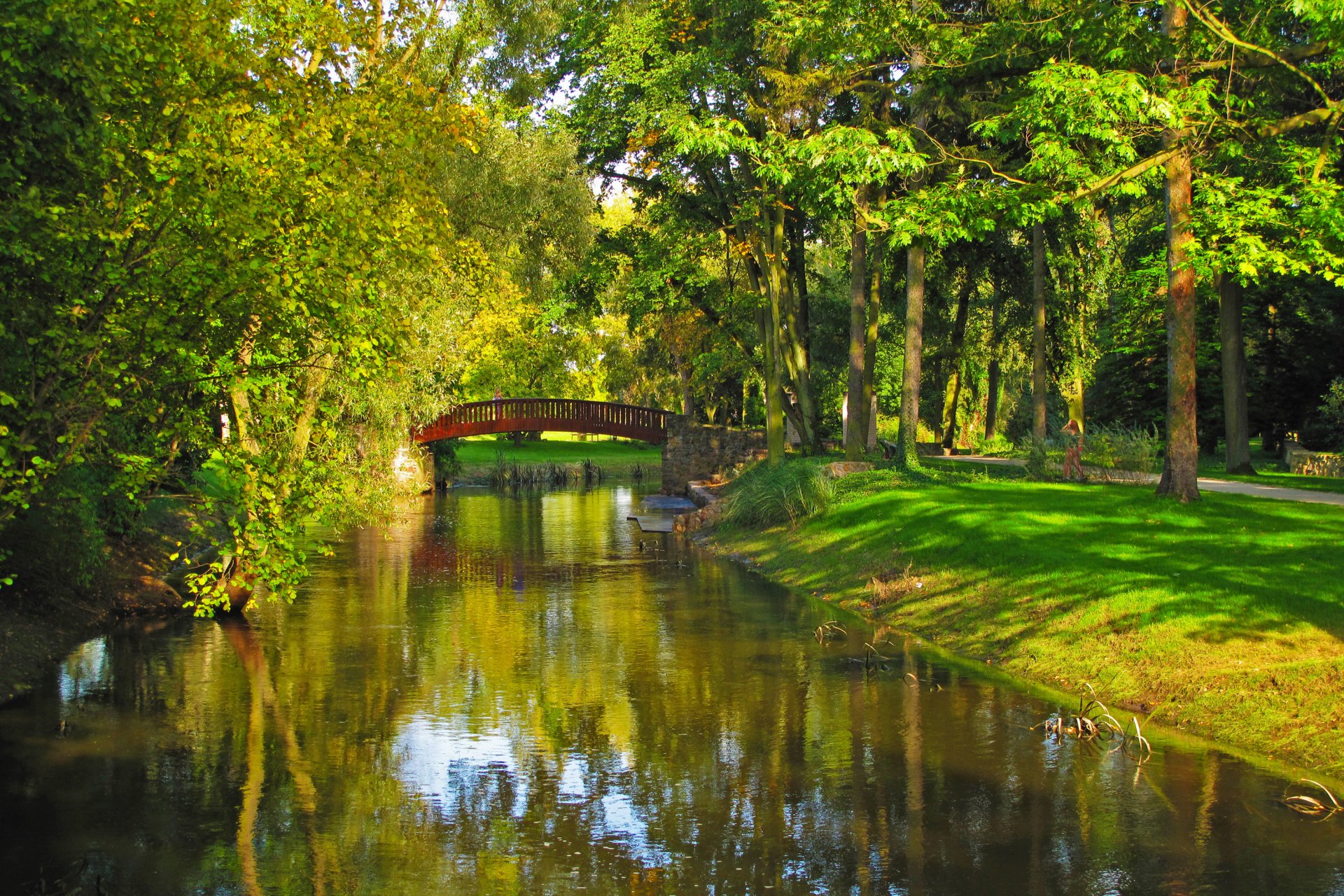 pologne parc rivière pont sohachev arbres herbe nature photo