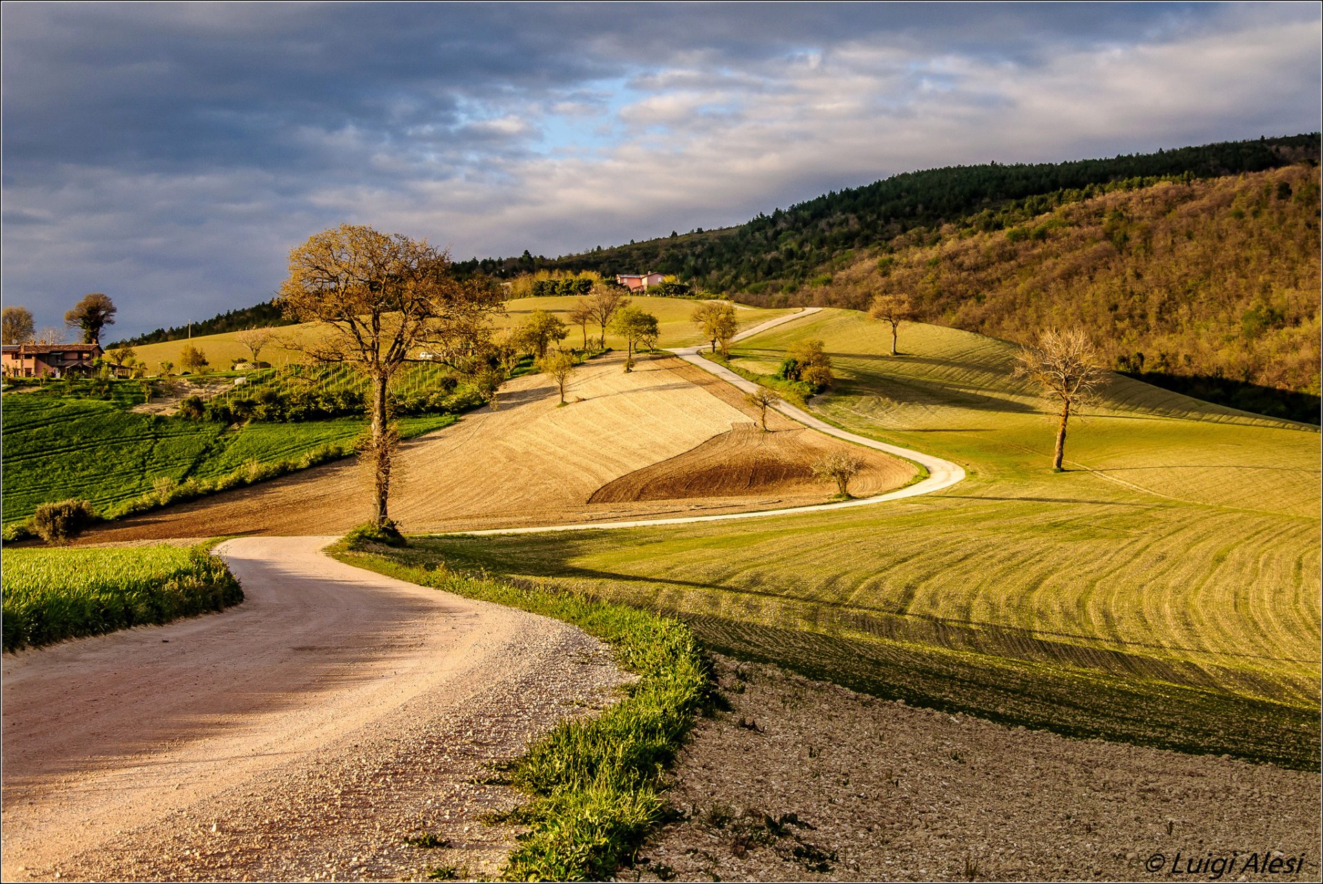 italia campagna cielo colline casa strada alberi