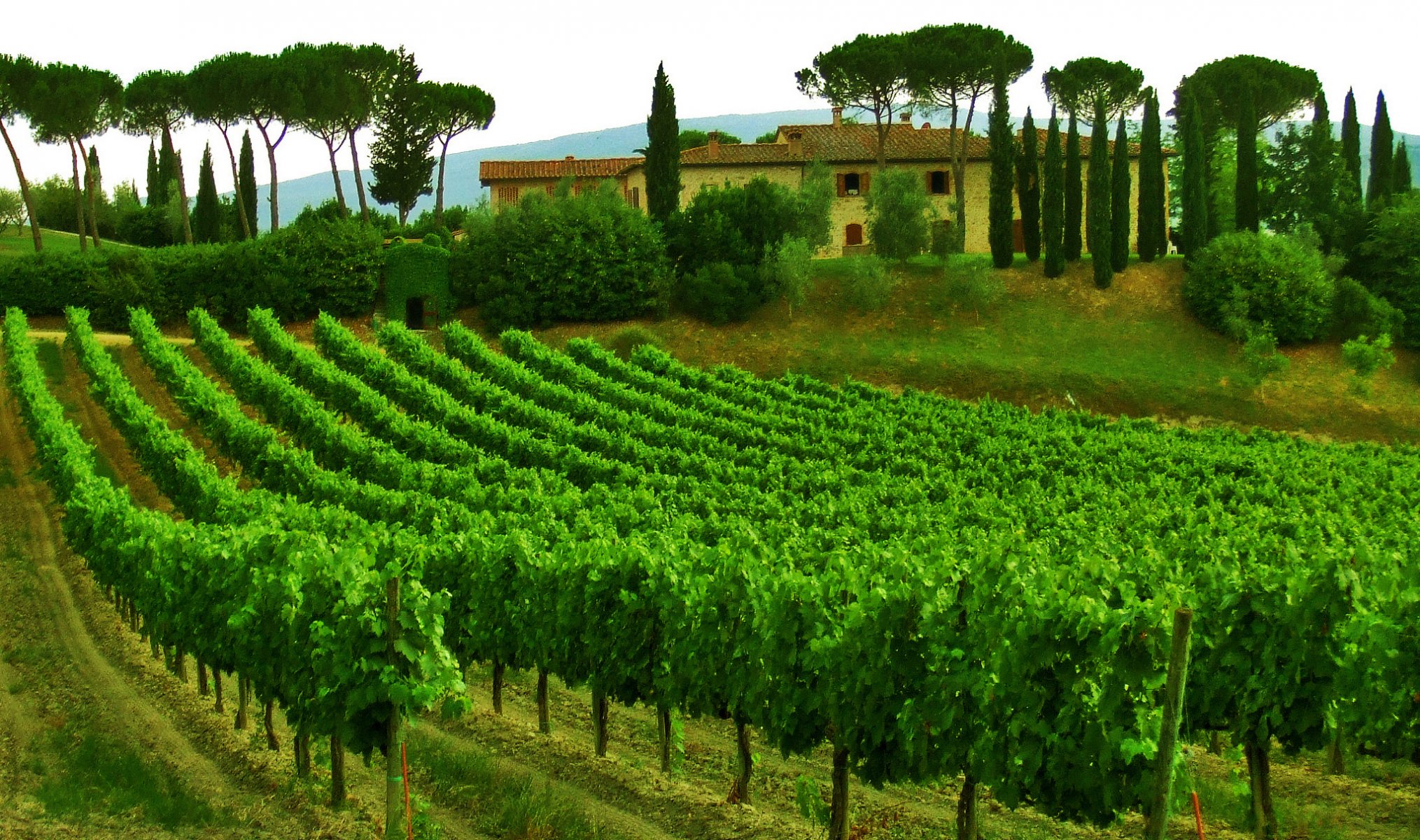 italie toscane ciel arbres maison vignoble