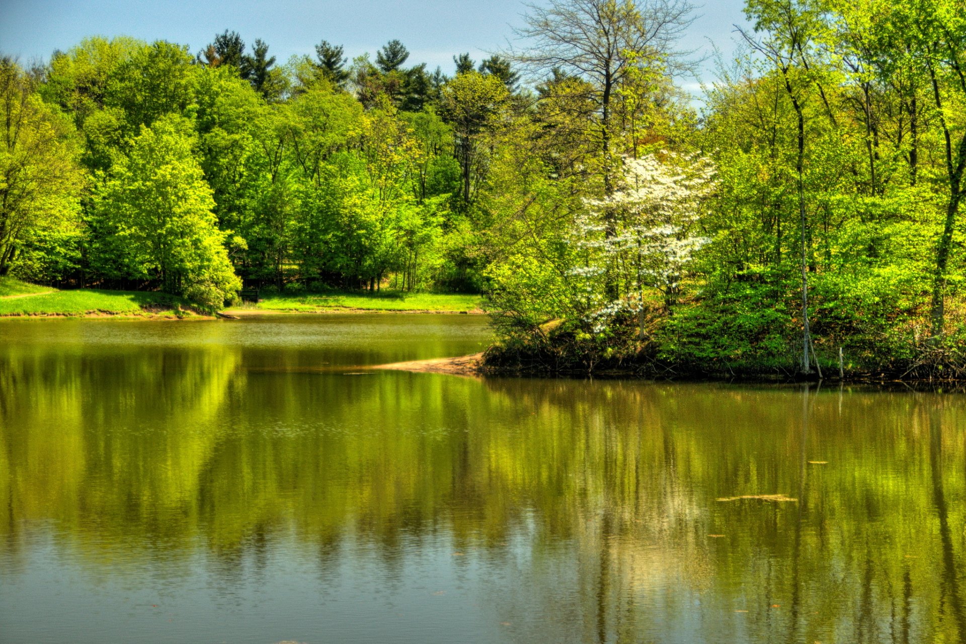 états-unis rivière été randall ohio arbres nature photo