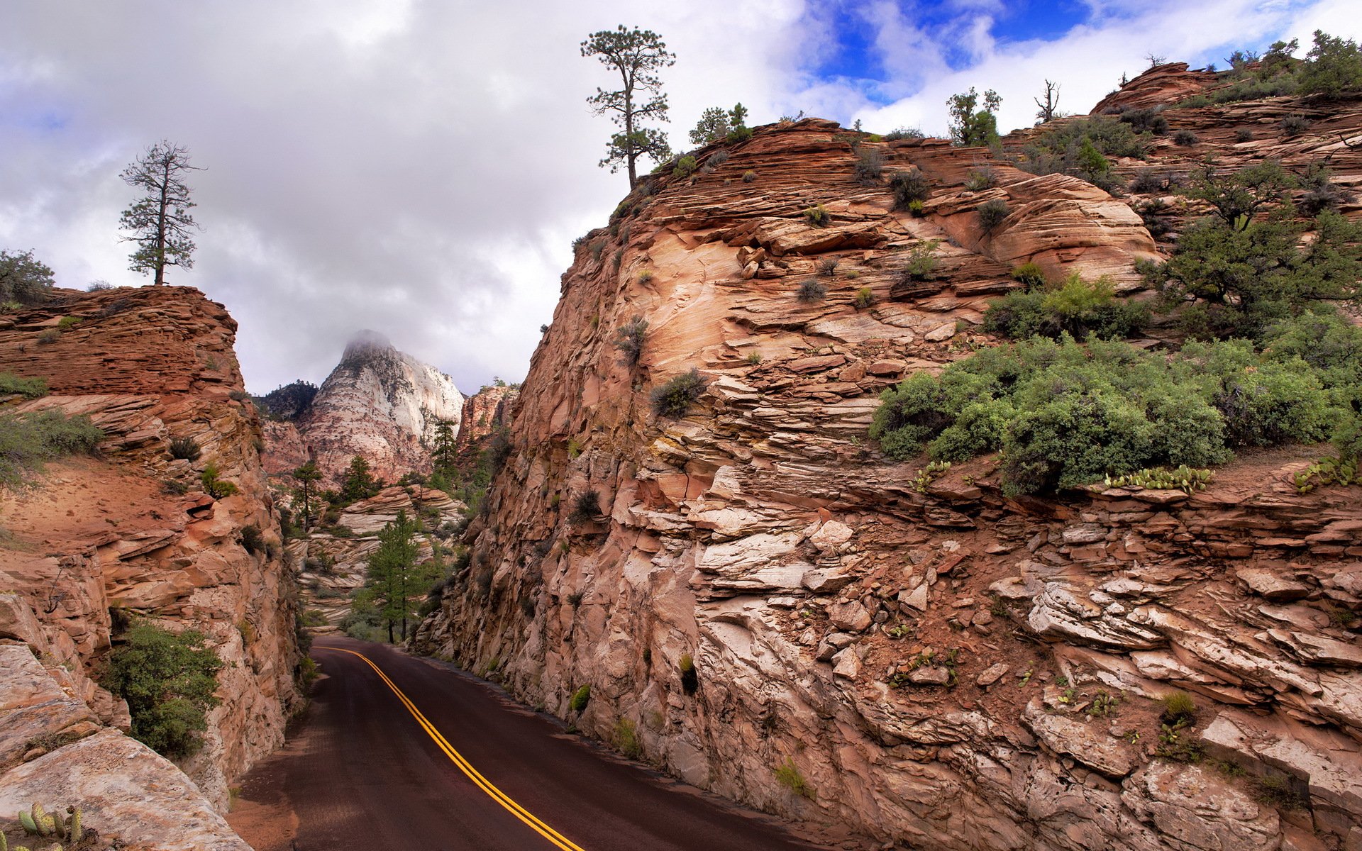 zion-nationalpark straße berge