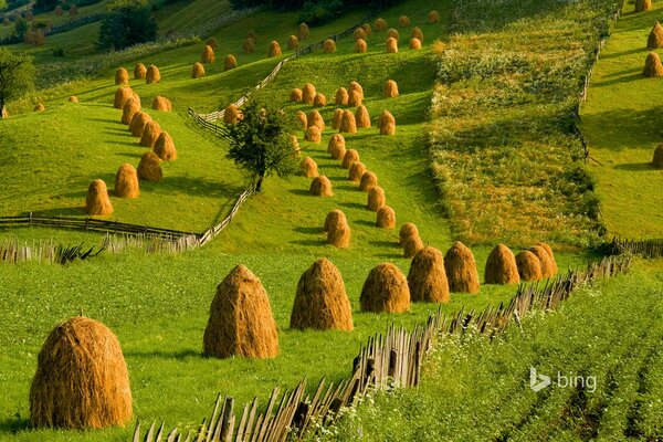 Tas de foin dans la Prairie d été