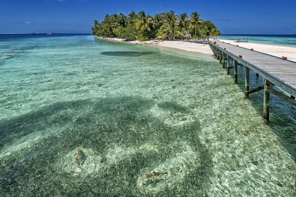 Summer vacation in the Maldives