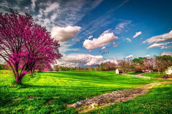 Nuvole primaverili e cielo azzurro