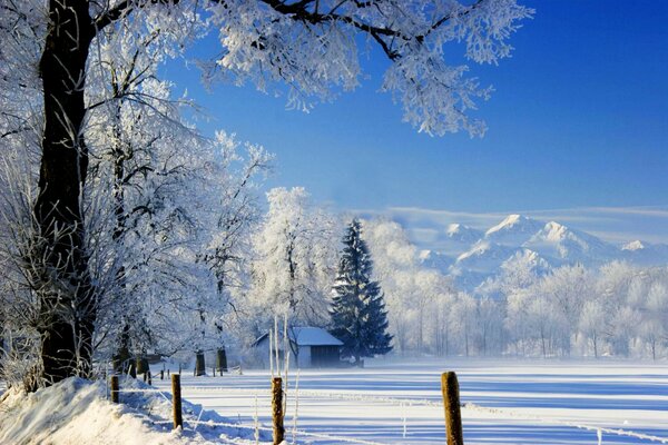 Holzzaun, schneebedeckte Bäume und ein einsames Haus
