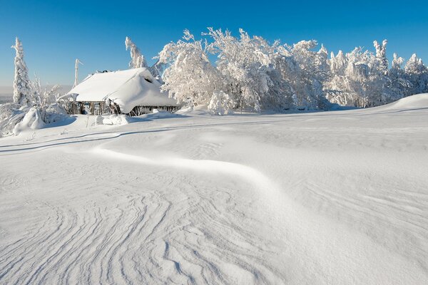 Winterlandschaft Haus und Bäume im Schnee