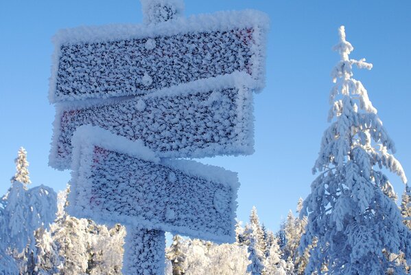 Señales de tráfico nevadas en el bosque