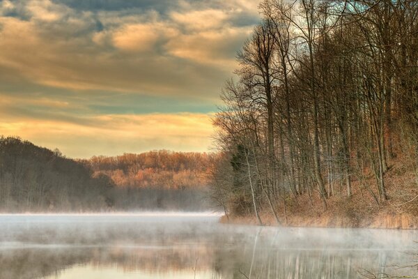 Lago brumoso en el fondo del bosque de otoño