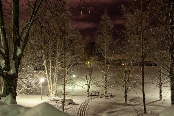 El parque nocturno y la pista de esquí iluminan las luces