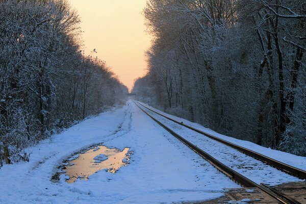 Winter forest road at sunset